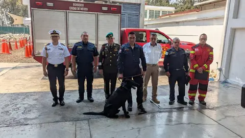 Togo es parte del Heroico Cuerpo de Bomberos de la Ciudad de México/X: @JefeVulcanoCova