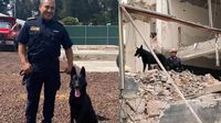 ¿Quién es Togo, el perro rescatista que localizó víctimas en el derrumbe de San Antonio Abad?