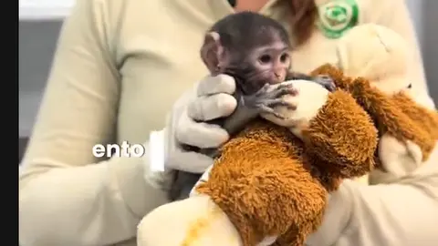 Yuji. / @zoologicoguadalajara
