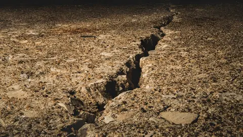 La hipótesis plantea un sismo de magnitud 8.2 con epicentro en la costa de Guerrero / FREEPIK
