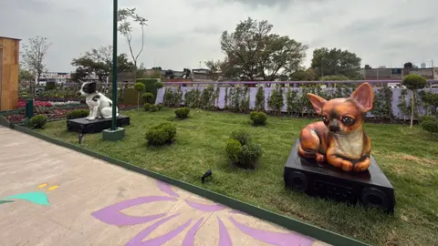 El acceso al Jardín Flotante Tlallipan es completamente gratuito. / Georgina Sánchez