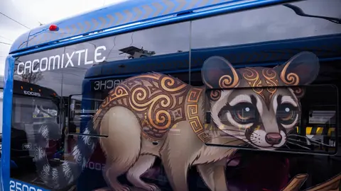 Teporingos, tlacuaches y cacomixtles, son parte de las nuevas unidades / FB: @GobiernoCDMX