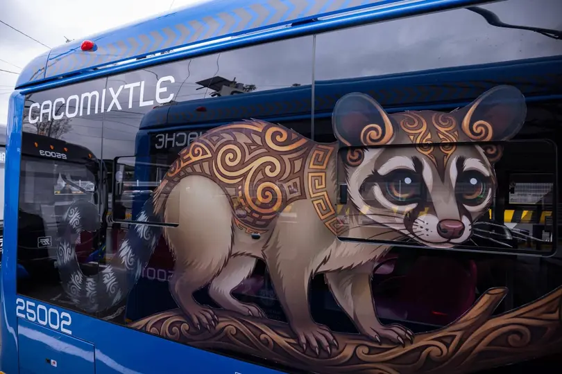 Teporingos, tlacuaches y cacomixtles, son parte de las nuevas unidades / FB: @GobiernoCDMX