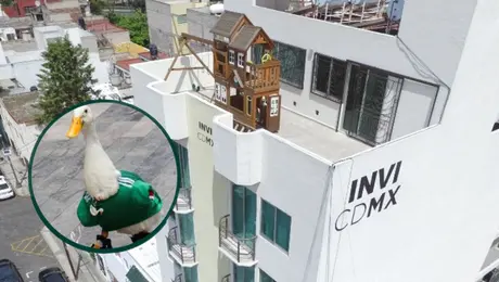El Pato Merlín cambia las calles del Mundial por una casa nueva; así fue el apoyo que recibió su familia
