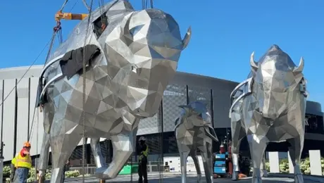 Colocan bisontes gigantes que vigilarán la entrada del nuevo estadio de los Bills