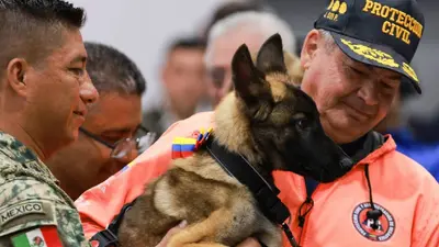 Venezuela dona cachorra al Ejército Mexicano como gesto de agradecimiento