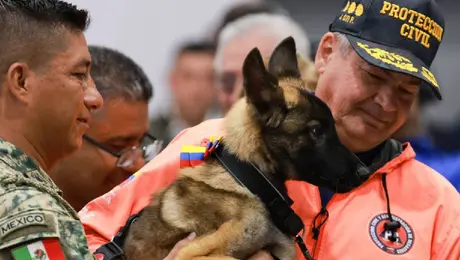 Venezuela dona cachorra al Ejército Mexicano como gesto de agradecimiento