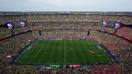 FIFA venderá pedazos de césped de la Final del Mundial