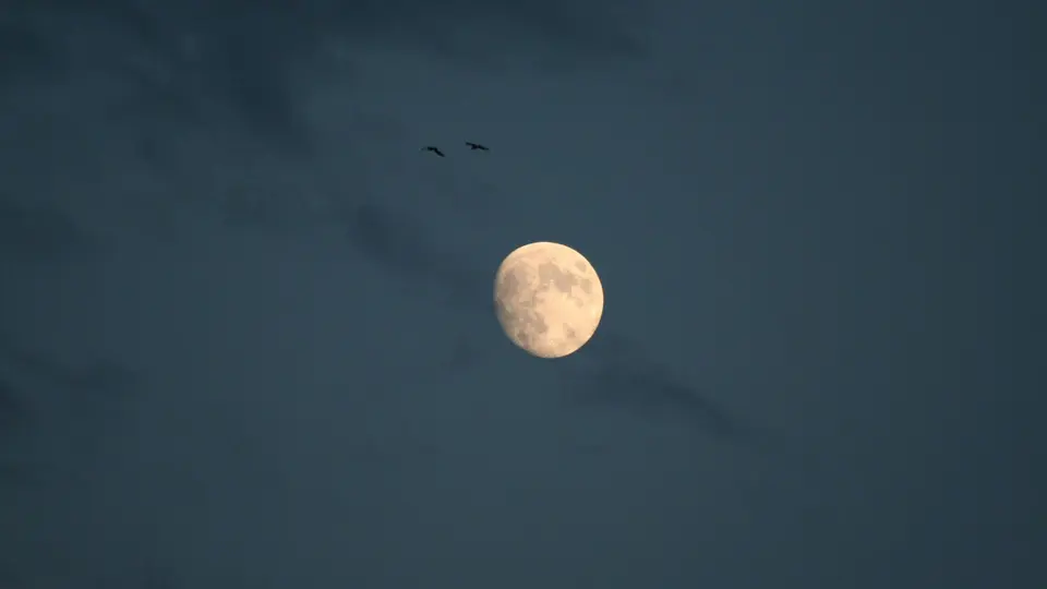 La adaptación de la vista a la oscuridad mejora la posibilidad de detectar meteoros / Pixabay
