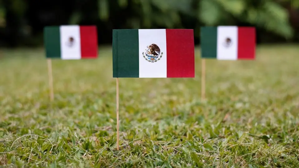 La bandera mexicana se debe portar con respeto o sería una falta / Magnific