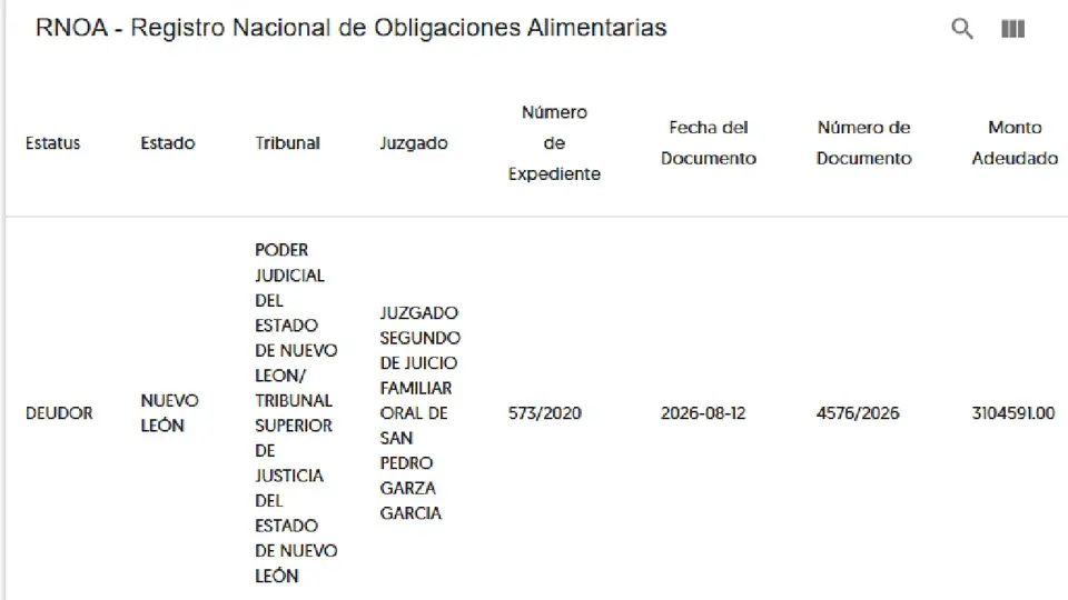 Registro de deuda de Mauro Lainez en el RNOA | CAPTURA