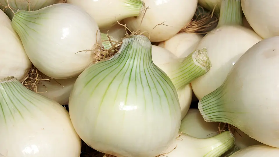 El chile serrano, el limón y el huevo estuvieron entre los alimentos que más subieron de precio / Gob MX
