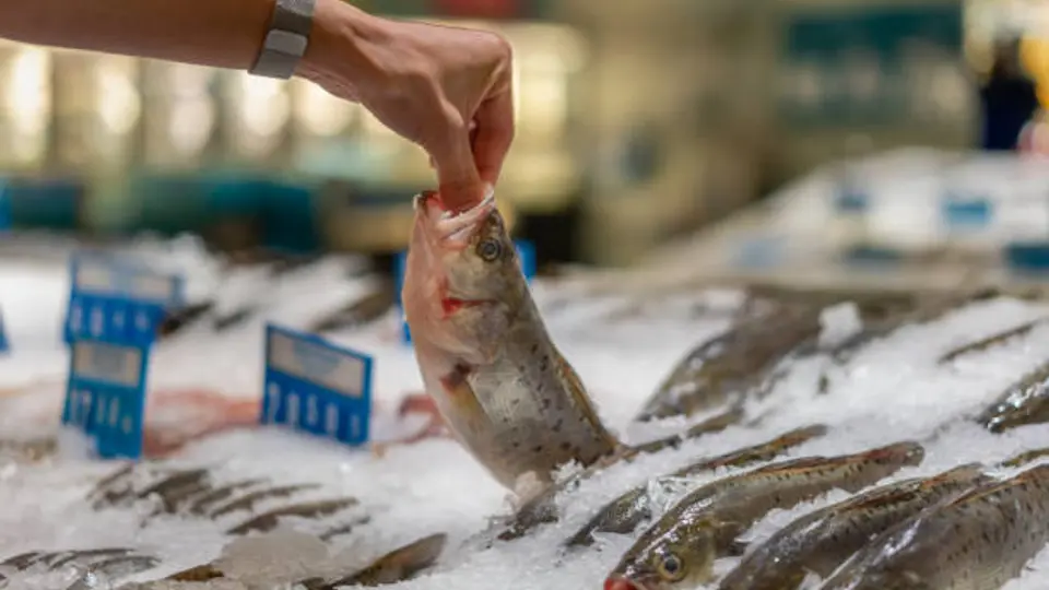 El precio de la tilapia puede variar considerablemente entre supermercados y mercados del país./ Pixabay