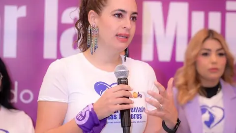 La iniciativa fue planteada por la diputada local del Partido Verde Ecologista de México, Sandra Arreola Ruiz. /FB Sandra Arreola
