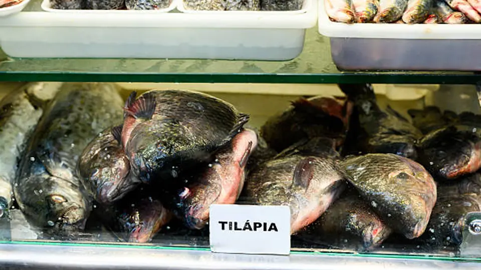 Durante la Cuaresma aumenta el consumo de pescado, especialmente tilapia, en México./ Pixabay