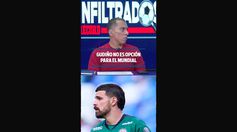 GUDIÑO NO ES OPCIÓN PARA EL MUNDIAL