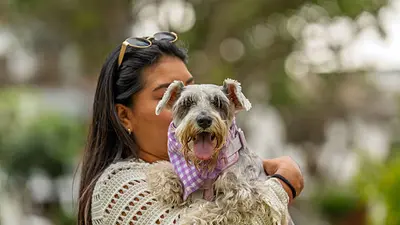 Estafas con IA en CDMX: así engañan a personas que buscan a sus mascotas