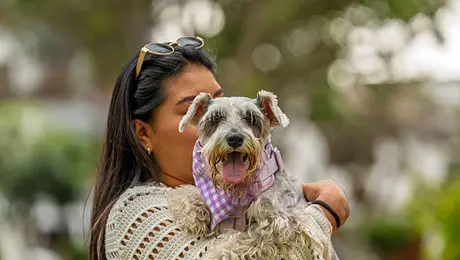 Estafas con IA en CDMX: así engañan a personas que buscan a sus mascotas