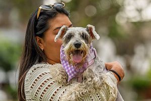 Estafas con IA en CDMX: así engañan a personas que buscan a sus mascotas