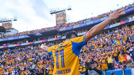 ¡Zarpazos al pecho! Tigres golea a Chivas y escala cuatro posiciones en la tabla rumbo a Liguilla