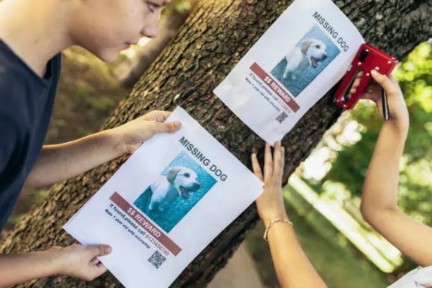 Compartir datos personales en publicaciones públicas puede facilitar este tipo de extorsiones. / iStock