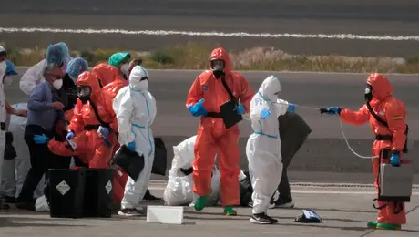 OMS advierte posible aparición de más casos de hantavirus tras brote en crucero MV Hondius