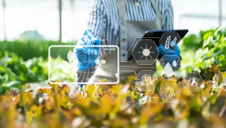 Insta Grupo Kosmos a reducir consumo energético en producción alimentaria
