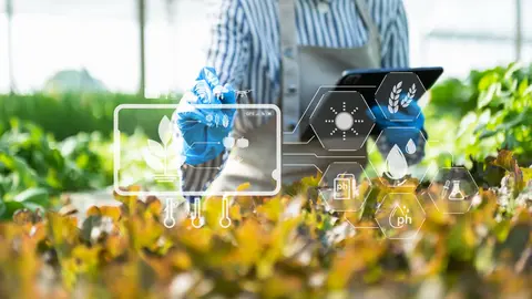 Insta Grupo Kosmos a reducir consumo energético en producción alimentaria