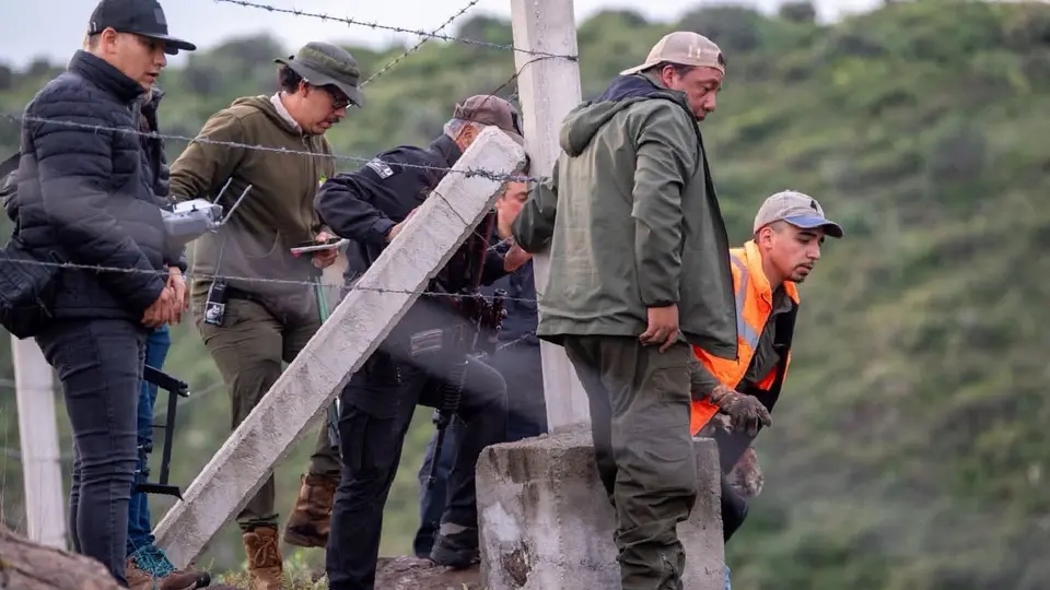Los primeros reportes indican que el tigre recibió un balazo en la cabeza / Especial