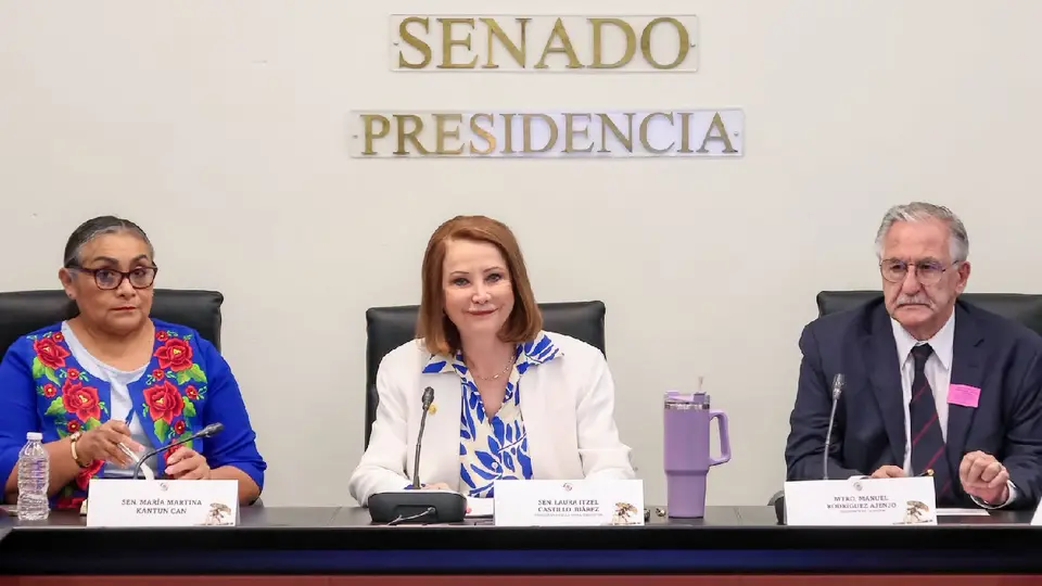 Laura Itzel Castillo fue hospitalizada luego de sufrir una fractura de tobillo / FB: @LauraItzelCastilloMX