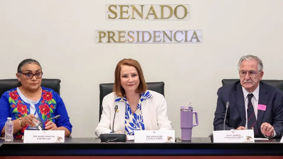 Laura Itzel Castillo fue hospitalizada luego de sufrir una fractura de tobillo / FB: @LauraItzelCastilloMX