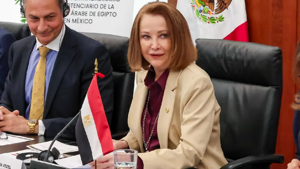 Hasta el momento se desconoce cuándo podría regresar al Senado / FB: @LauraItzelCastilloMX