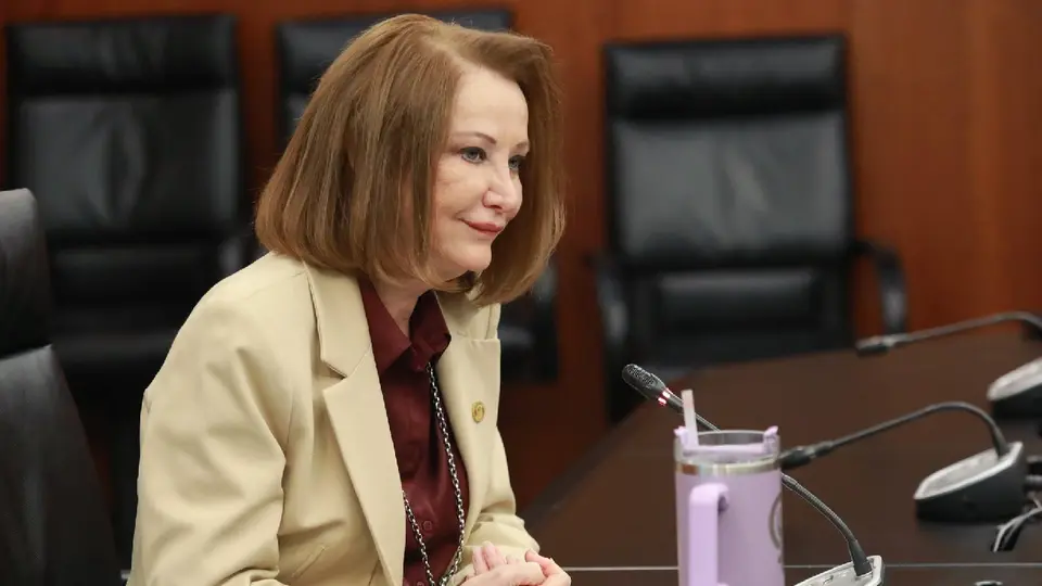 La Presidenta de la Mesa Directiva del Senado afirma que no dejará de trabajar / FB: @LauraItzelCastilloMX