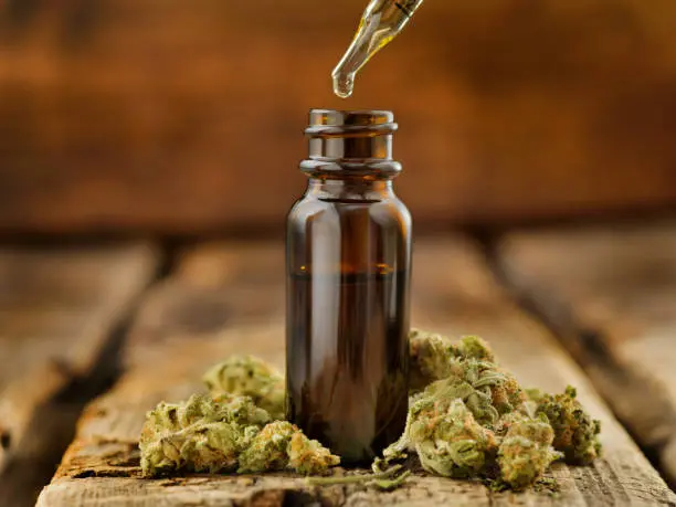 La resolución distingue entre cocinar con cannabis para autoconsumo y fabricar productos sujetos a regulación sanitaria especial./ Pixabay