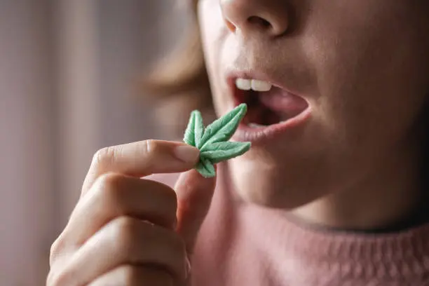 Brownies, gomitas y otros alimentos con cannabis no podrán venderse ni distribuirse a terceros./ Pixabay