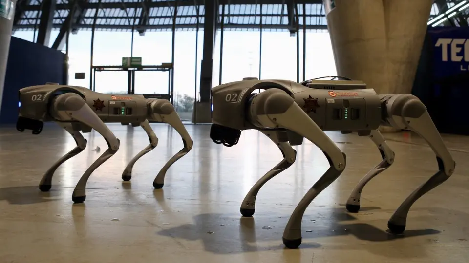 Perros robot en el Estadio de Monterrey | AFP
