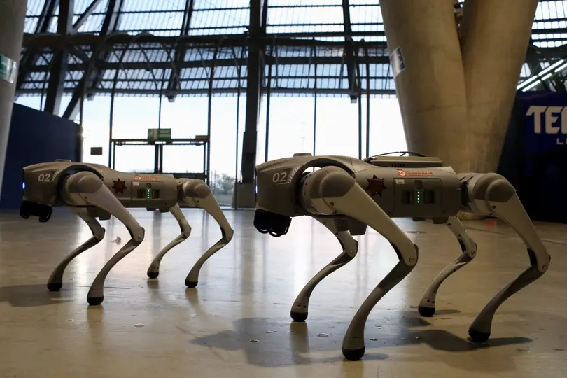 Perros robot en el Estadio de Monterrey | AFP