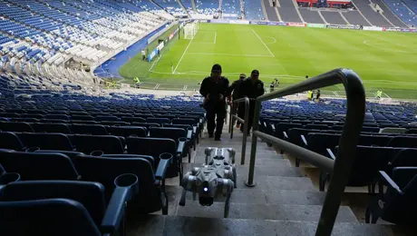 ¡Violencia en el Rayados vs. Chivas! Aficionado golpea a periodista y a su joven acompañante
