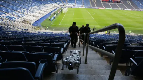 Perros robot en el Gigante de Acero | AFP