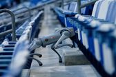 Perros robot: Monterrey tendrá guardianes tecnológicos para el Mundial 2026