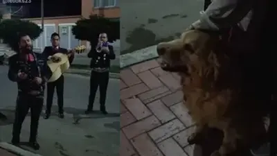 Familia despide a su perrita con mariachi y “Amor eterno”; el emotivo video se vuelve viral
