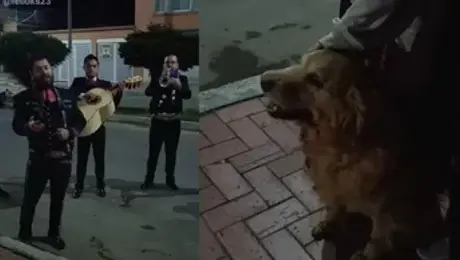 Familia despide a su perrita con mariachi y “Amor eterno”; el emotivo video se vuelve viral