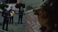 Familia despide a su perrita con mariachi y “Amor eterno”; el emotivo video se vuelve viral