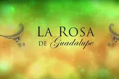 Actor de "La Rosa de Guadalupe" pide ayuda tras ser diagnosticado con agresivo cáncer