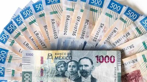 El gobierno federal estima un ahorro de miles de millones de pesos con esta medida. / iStock