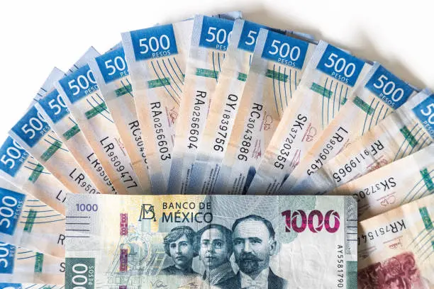 El gobierno federal estima un ahorro de miles de millones de pesos con esta medida. / iStock
