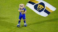 Oficial: Pumas anuncia baja de delantero por lo que resta del Clausura 2026