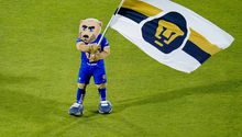 Oficial: Pumas anuncia baja de delantero por lo que resta del Clausura 2026
