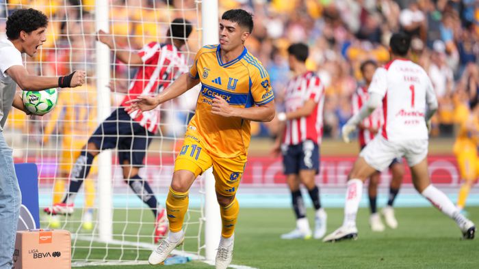Tigres vs Chivas | IMAGO7