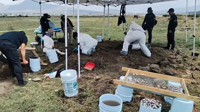 Hallan 219 restos óseos en Chalco y Tláhuac; familias buscadoras exigen justicia